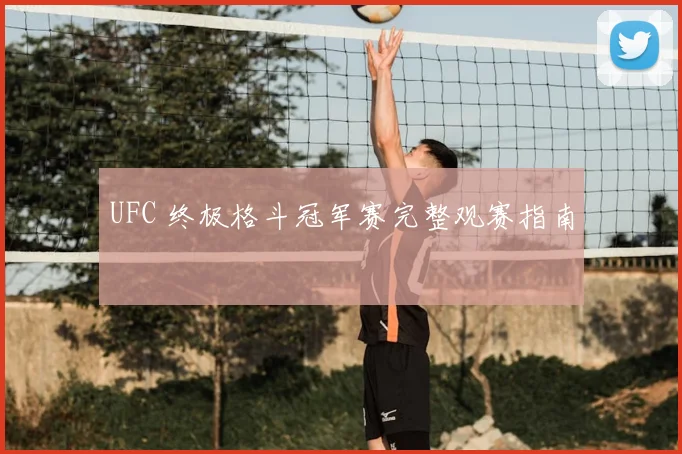 UFC 终极格斗冠军赛完整观赛指南
