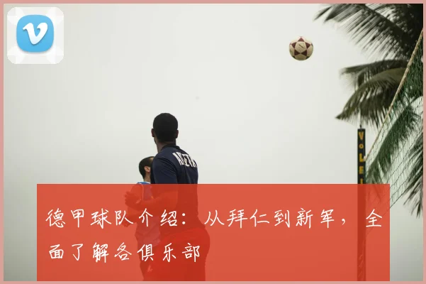 德甲球队介绍：从拜仁到新军，全面了解各俱乐部