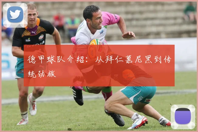 德甲球队介绍:从拜仁慕尼黑到传统劲旅