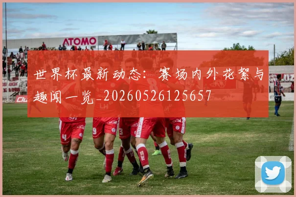 世界杯最新动态：赛场内外花絮与趣闻一览_20260526125657