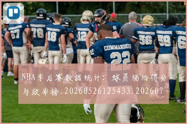 NBA季后赛数据统计:球员场均得分与效率榜_20260526125433_20260702164950