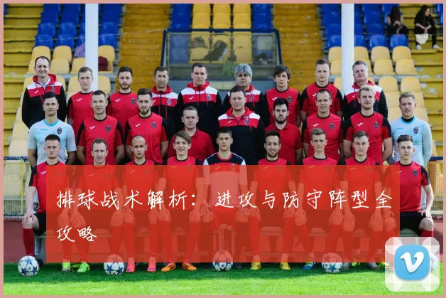 排球战术解析:进攻与防守阵型全攻略