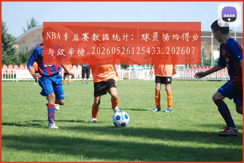 NBA季后赛数据统计：球员场均得分与效率榜_20260526125433_20260702164950